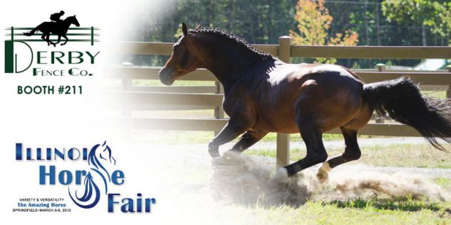 Illinois Horse Fair 2015