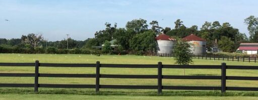 Pasture Fencing 2