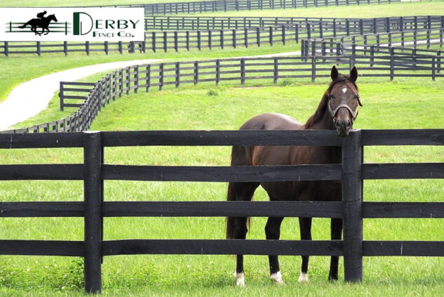 The Aesthetics of HDPE Fencing Modern Design Meets Durability