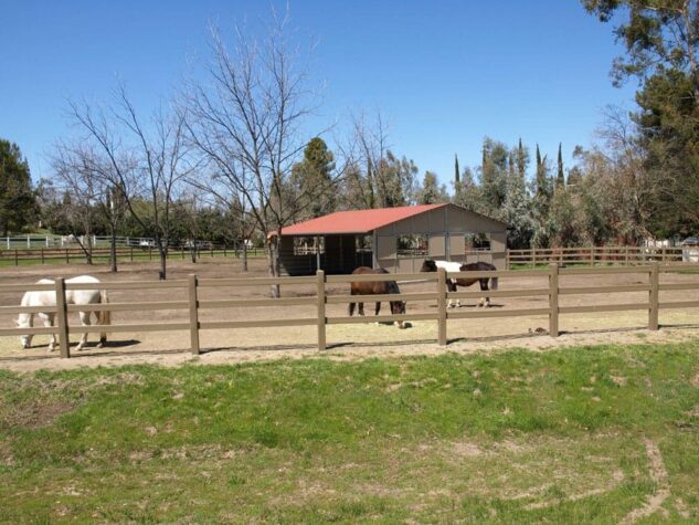 HDPE vs Traditional wood fencing