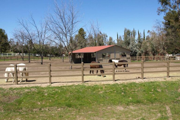 HDPE vs Traditional wood fencing