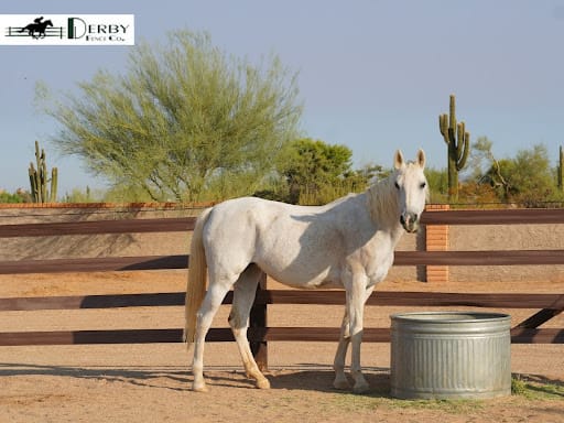 The Low-Maintenance Advantage of HDPE Over Traditional Wood Fences