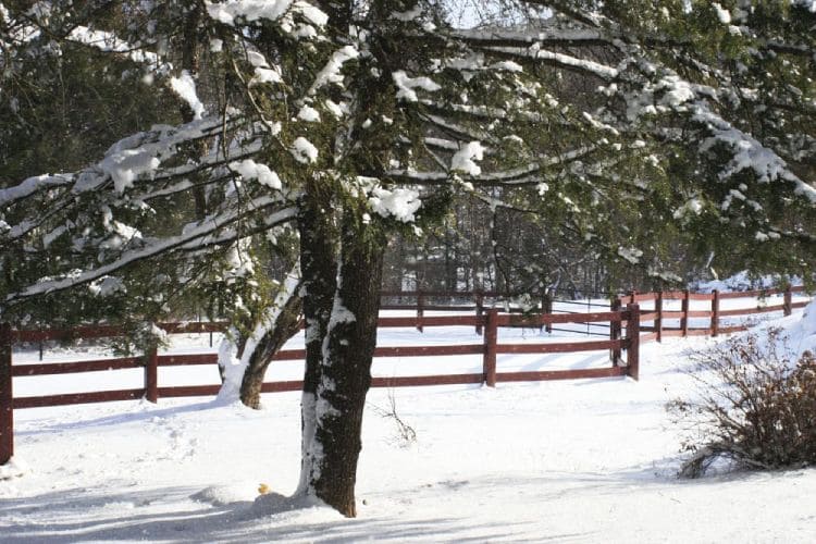 Ranch fence cost estimate