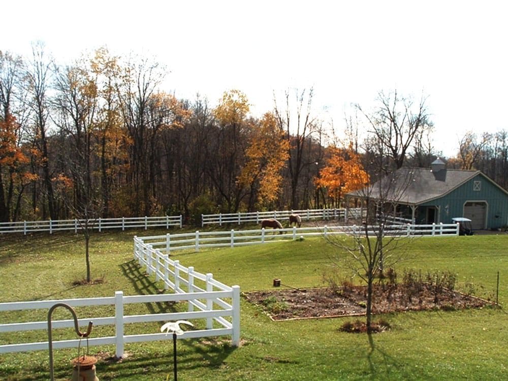 horses2-Stock Ranch fencing