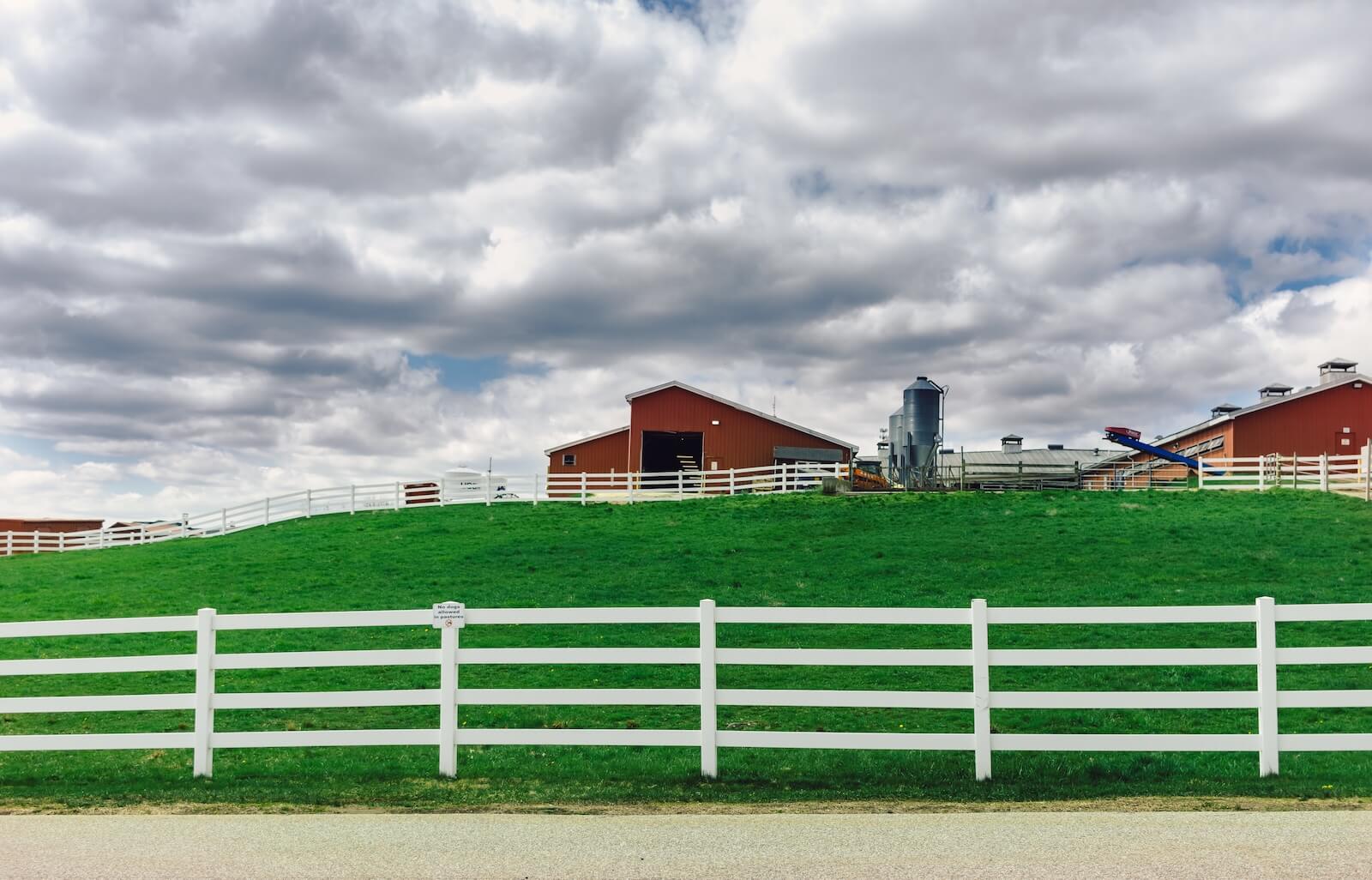 a-dairy-farm-with-a-red-barn-2024-09-23-08-48-23-utc a dairy farm with a red barn, surrounded by white three-rail hdpe fencing