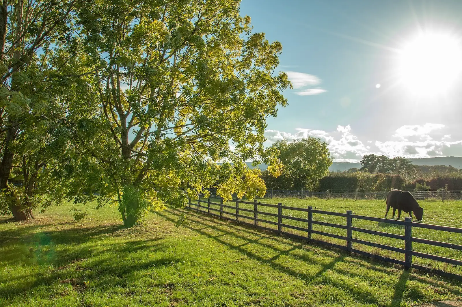 a cow pasture surrounded by brown plastic hdpe cattle fencing