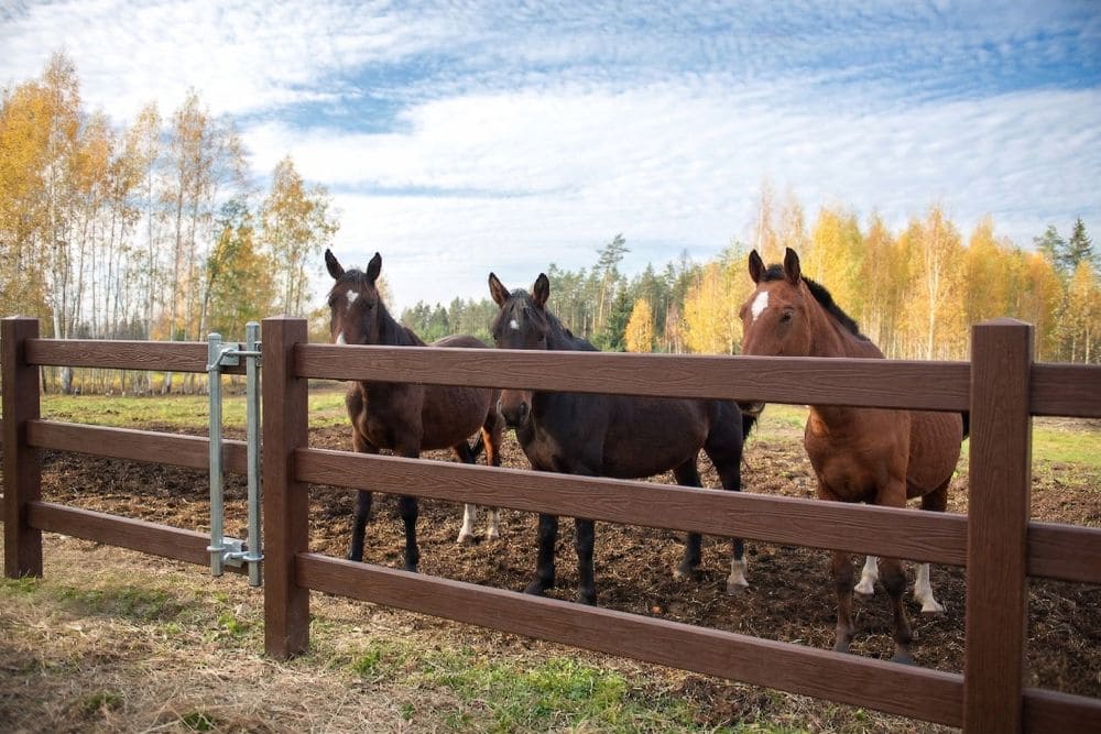 brown-hdpe-equestrian-fence-wood-grain-texture Brown HDPE equestrian fence wood grain texture