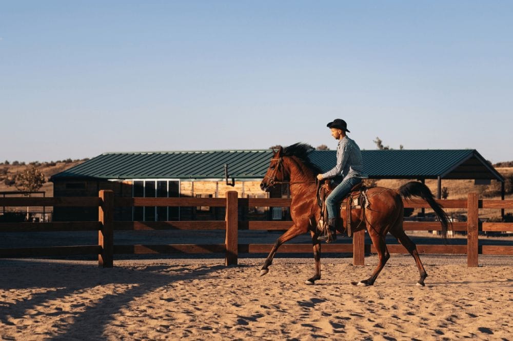 easy-to-install-horse-arena easy to install horse arena