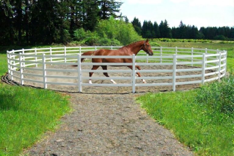 HDPE horse arena fencing durable safety